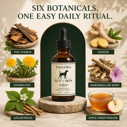 Six botanical ingredients in TAILORA daily dog drops