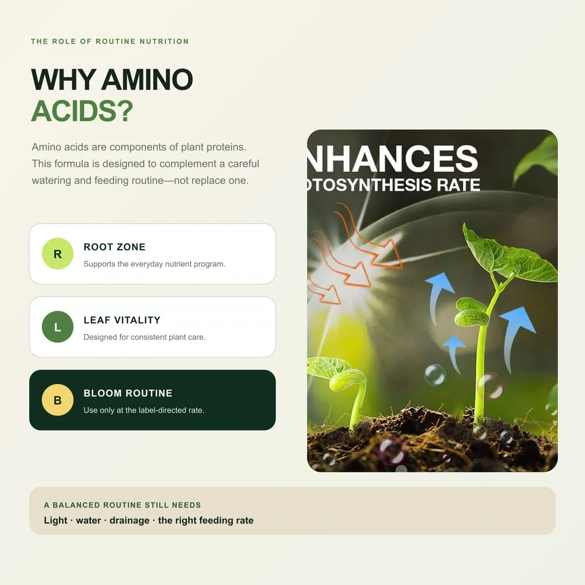 Amino acids as part of a balanced plant nutrition routine for roots, leaves and blooms