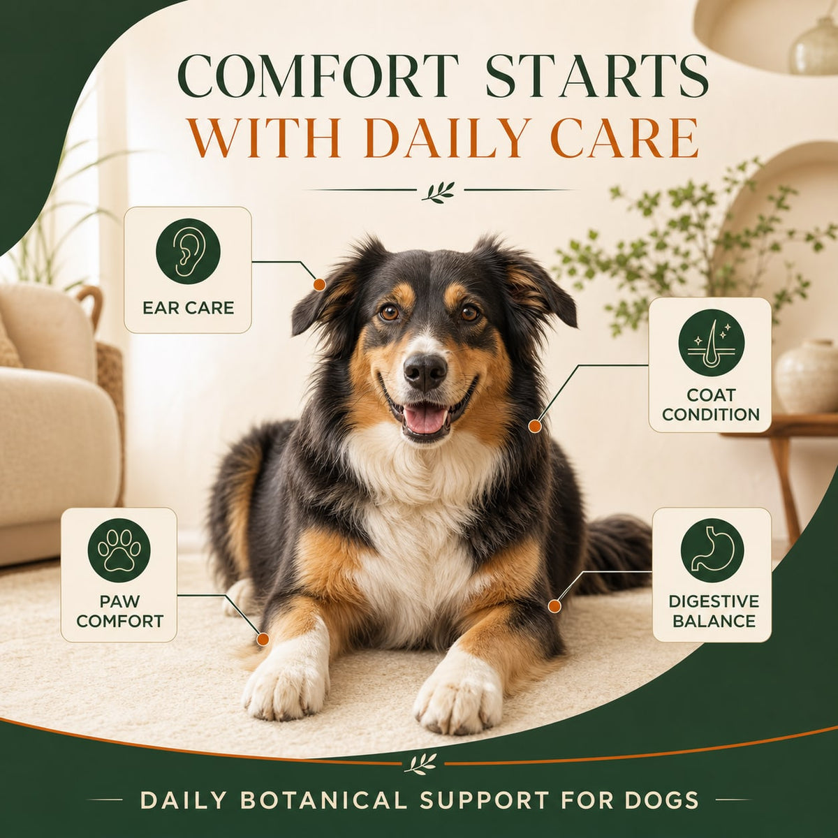 Daily botanical support for paw ear coat and digestive comfort