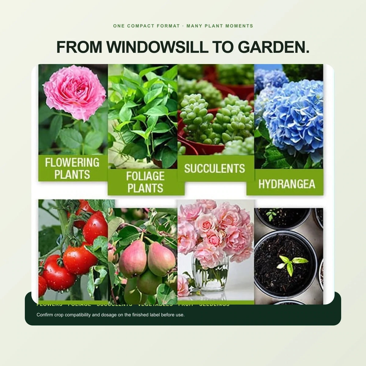 Flowering plants, foliage, succulents, vegetables, fruit and seedlings