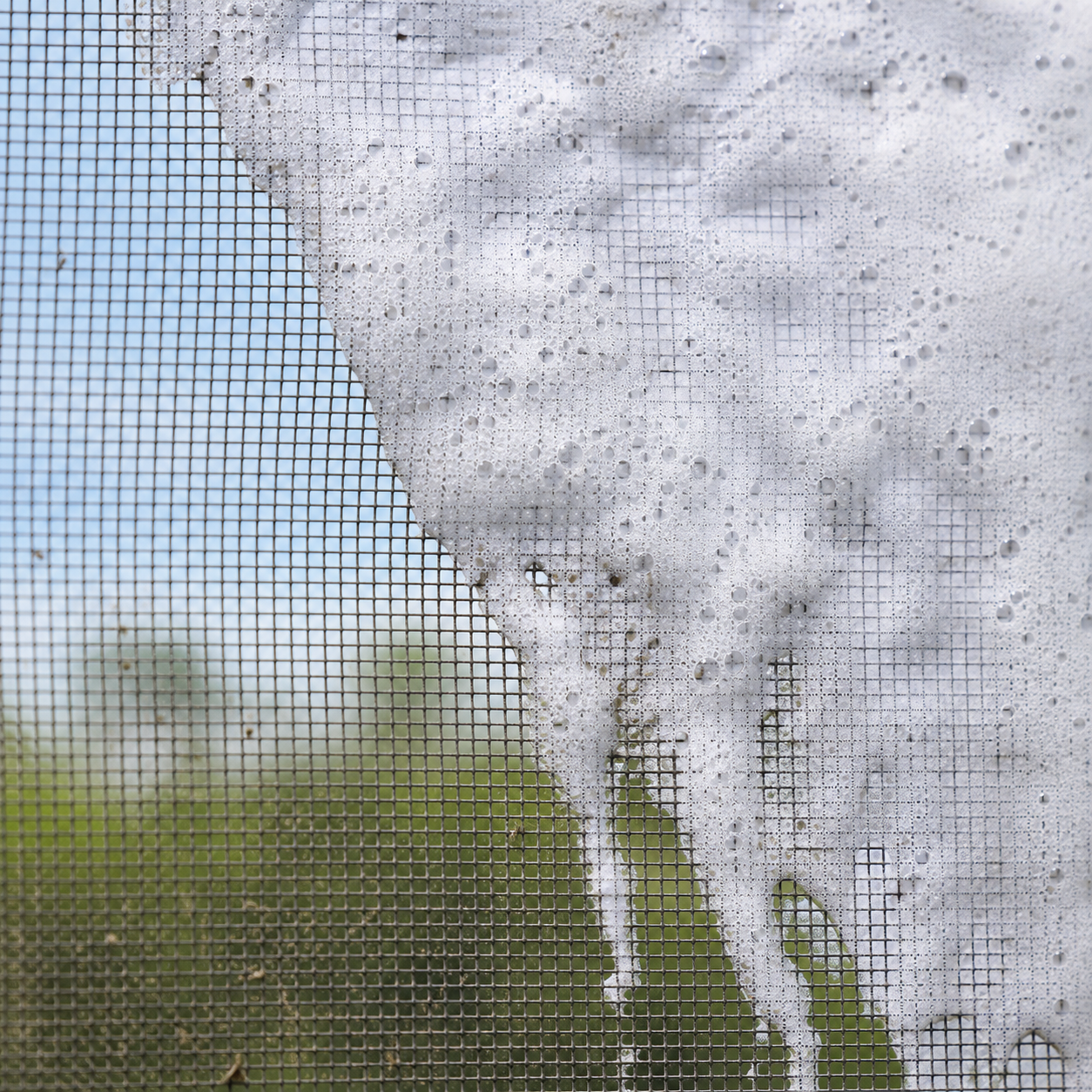 FOEOT clinging foam on insect screen mesh