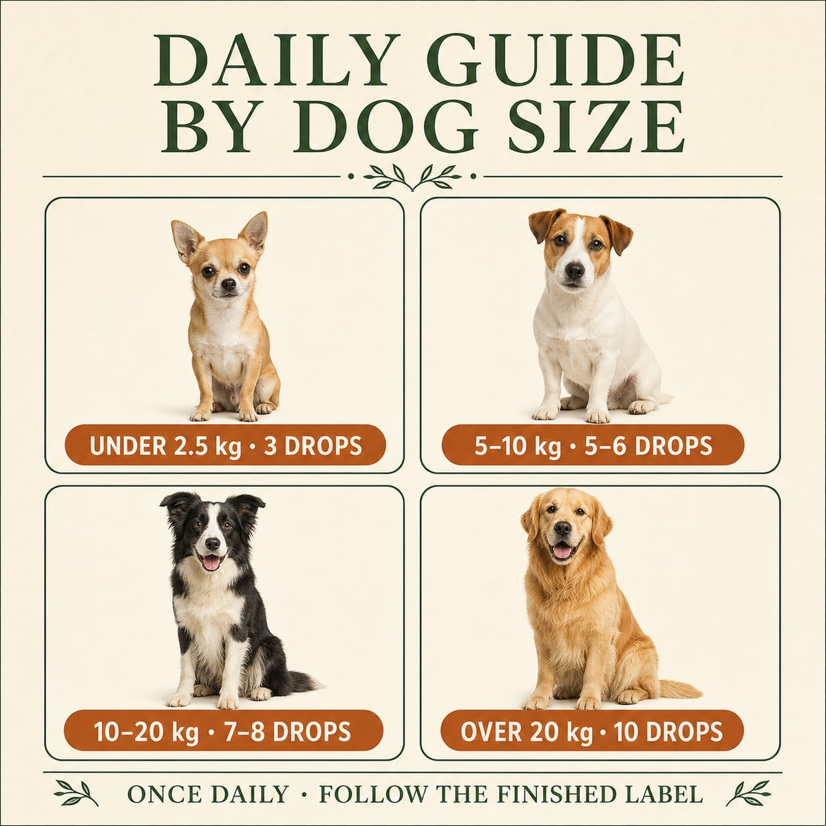 Weight-based daily dosage guide for dogs