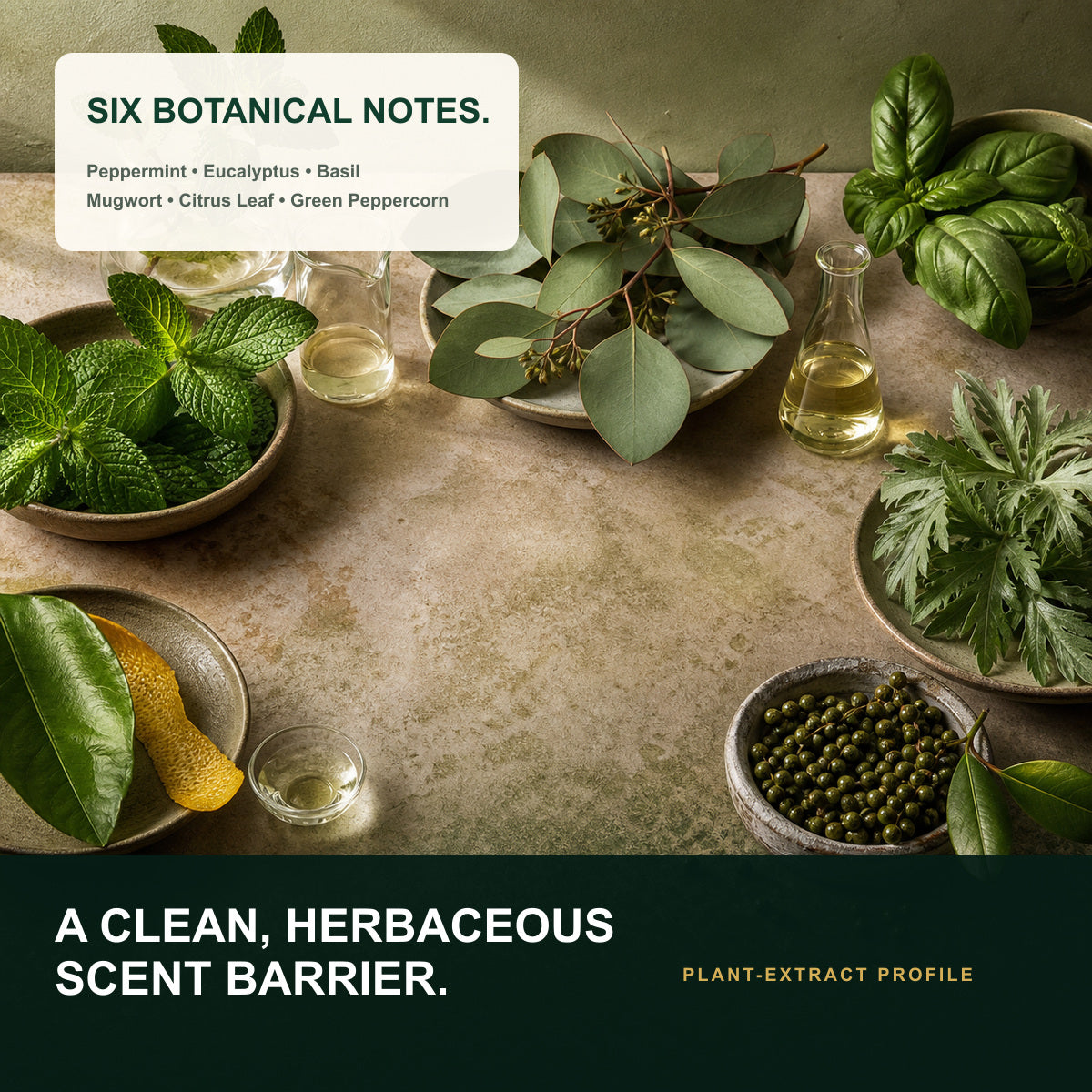 Six botanical notes in the Natural Mite Control scent profile